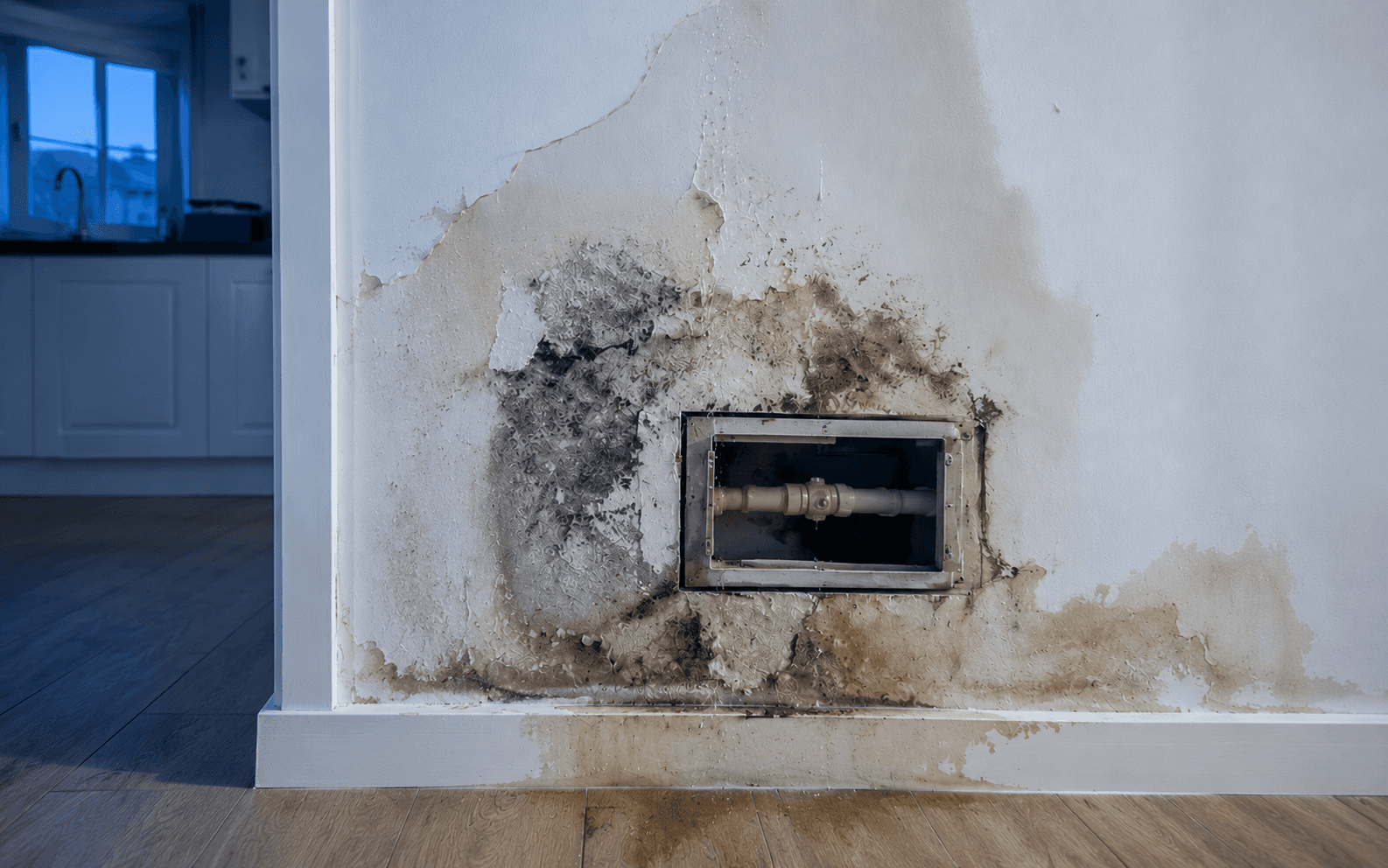 Imagen de referencia del problema: Humedad en muro y pérdida de presión.